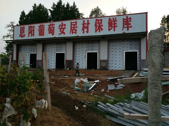 巴中葡萄種植合作社200噸葡萄氣調保鮮庫工程