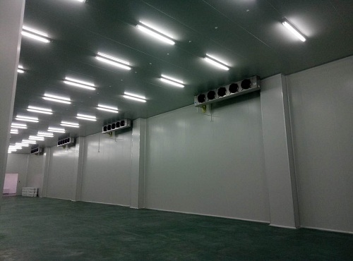 蘭州申聯生物建成的醫藥類低溫庫