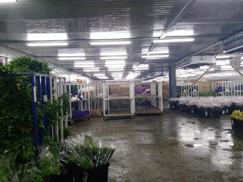 35000立方米大型鮮花陰涼庫工程
