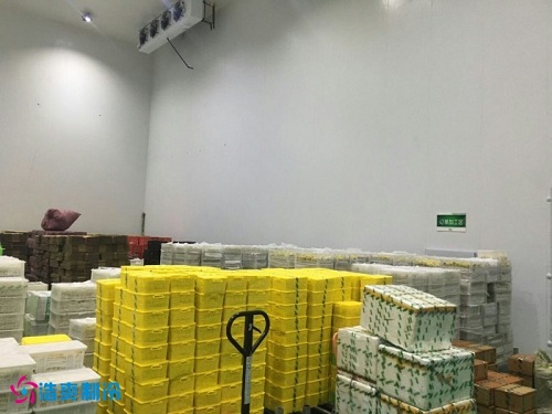 小白杏冷庫堆貨方式