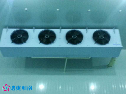 干果保鮮冷庫所使用的冷風機