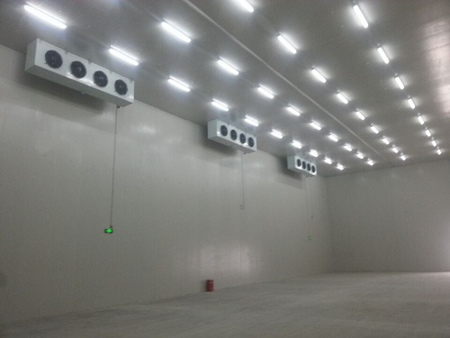 廈門友達光電低溫冷庫所使用的冷風機