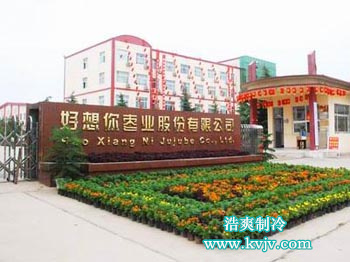湖北好想你棗業股份有限公司