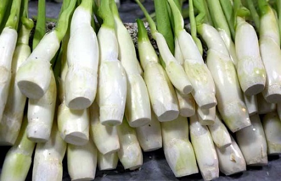 茭白（高筍）怎么長期保存？茭白冷庫儲存方法推薦