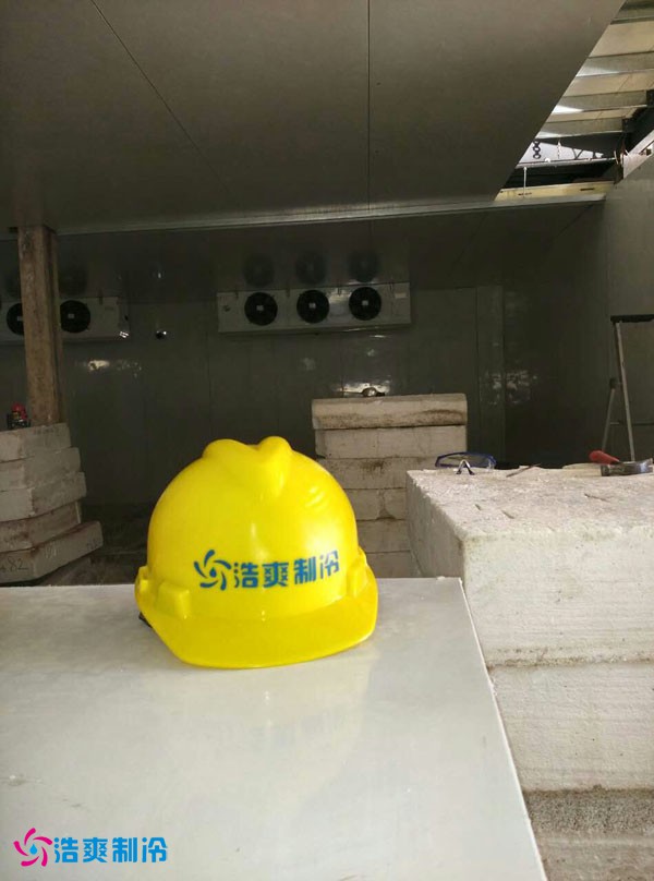 「國外出口冷庫案例」法國Socalait冰淇淋低溫食品冷庫工程項目