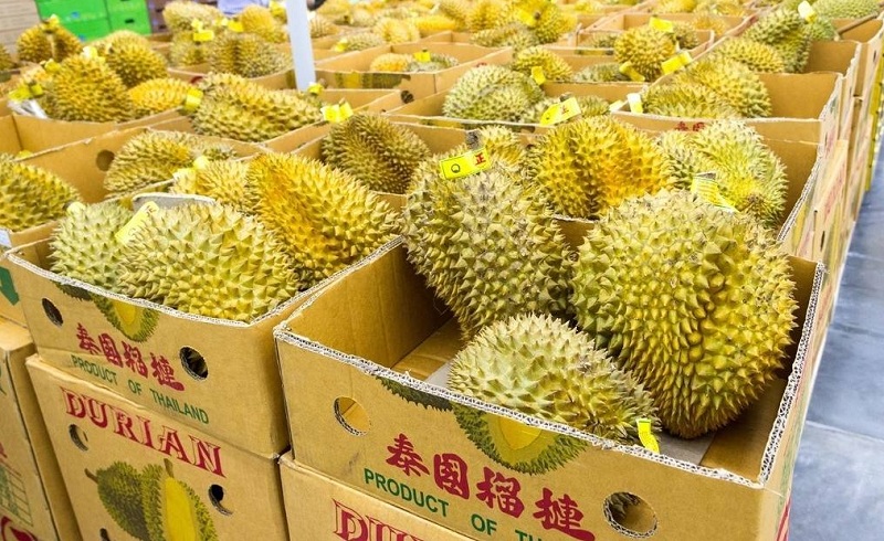 榴蓮怎么保存時間長？榴蓮速凍冷庫儲存6個月都不壞