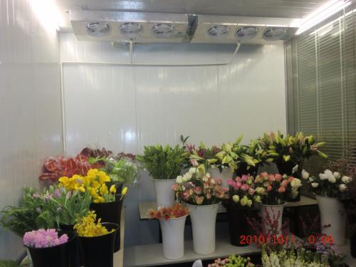建個鮮花冷庫多少錢？鮮花冷庫一平方造價多少錢？