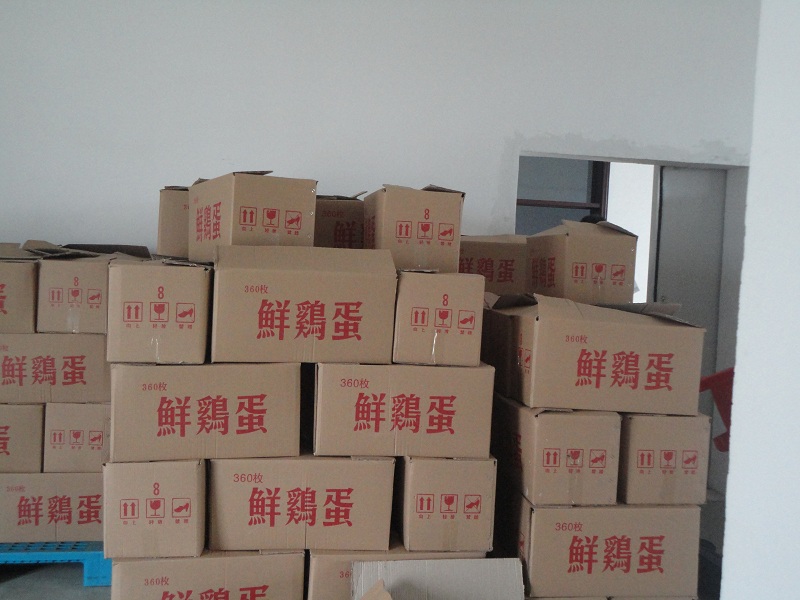 建一座雞蛋保鮮庫需要多少錢？雞蛋保鮮庫造價計(jì)算方式