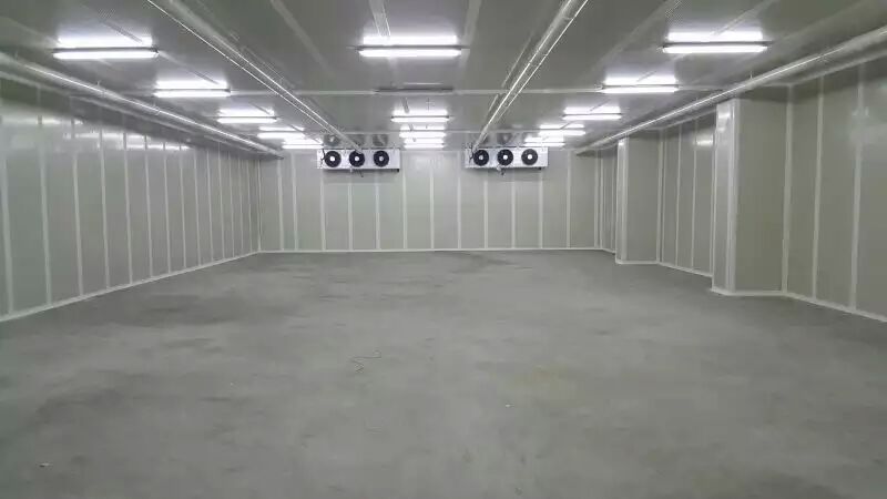 果蔬保鮮庫實拍