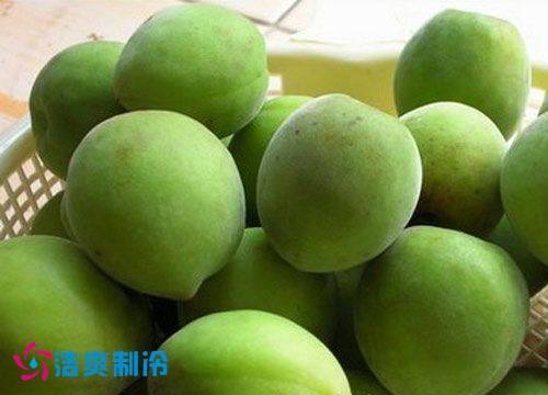 梅子（青梅）冷庫貯藏保鮮技術，梅子長期保存方法介紹