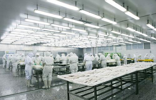 工人正在腌制食品冷庫加工