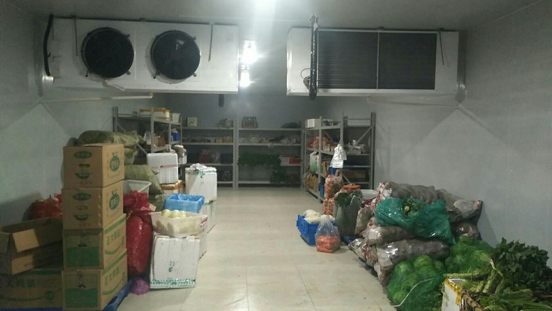 建造蔬菜冷庫要多少錢一平方？