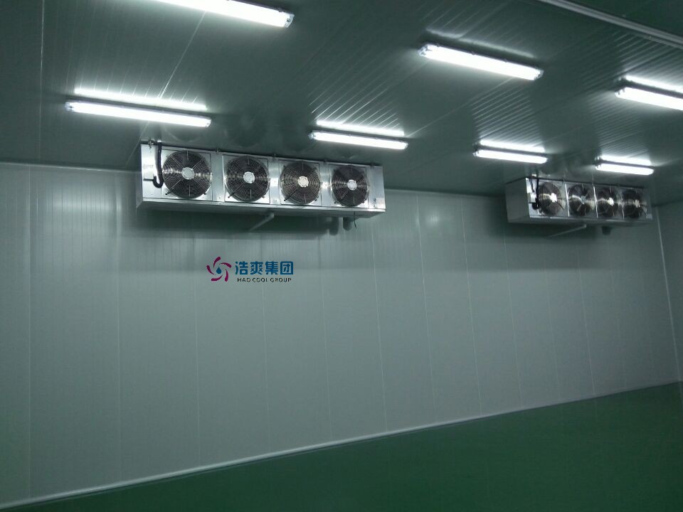 泡菜（榨菜）冷庫冷風機實拍