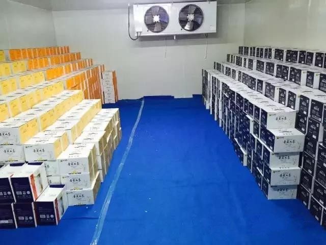 牛奶保鮮庫完工實拍