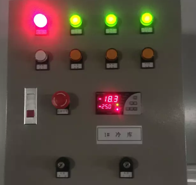 圖為低溫食材冷庫溫度控制器實拍