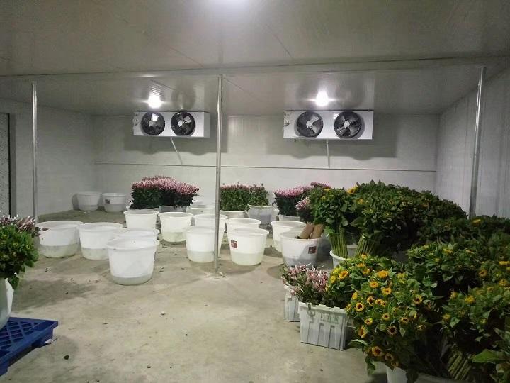 建一個鮮花保鮮庫房要多少錢？