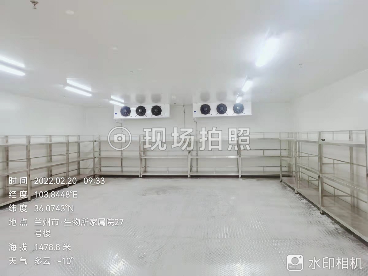 圖為冷庫完工內部實拍