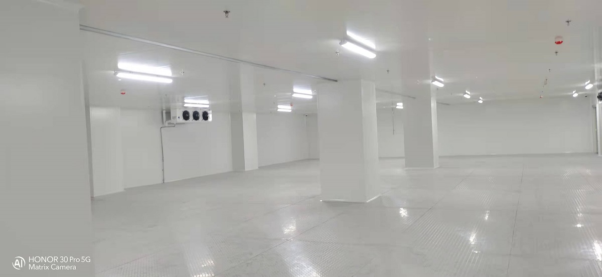 冷庫完工內部實拍