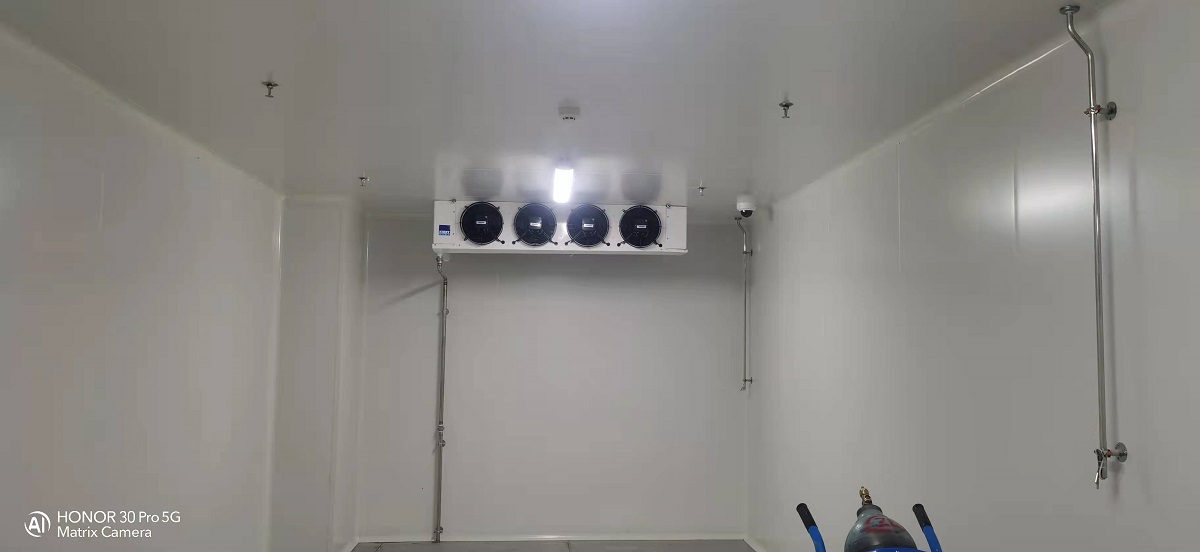 圖為冷庫完工內部實拍