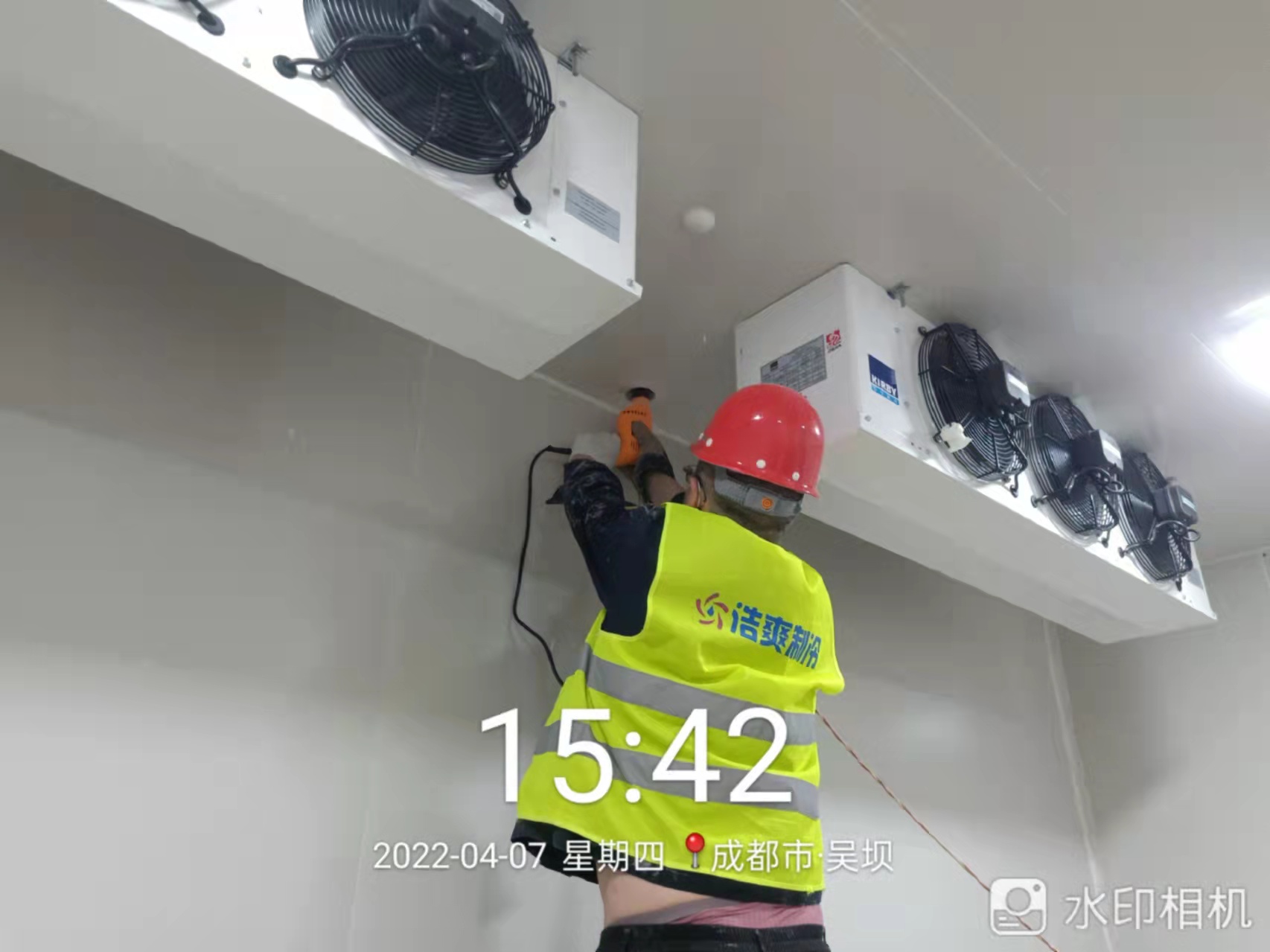 夏日儲存香蕉：探秘香蕉在冷庫中的保鮮之道